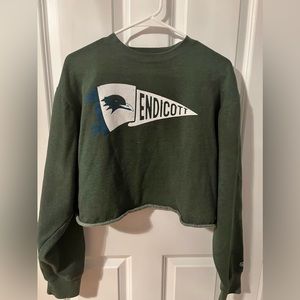 Endicott College cropped sweatshirt, weathered green, Size M